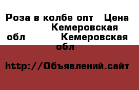 Роза в колбе опт › Цена ­ 4 000 - Кемеровская обл.  »    . Кемеровская обл.